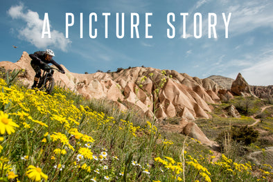 Blog: A Picture Story