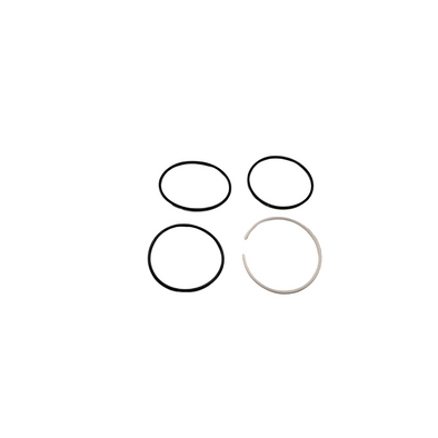 McLeod Air Can Seal Kit