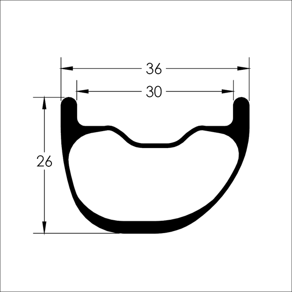 TR 309 S Rim Profile