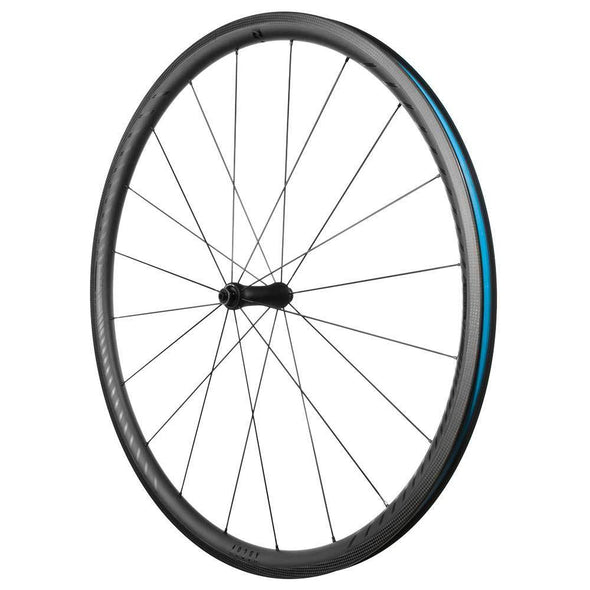 AR29 X