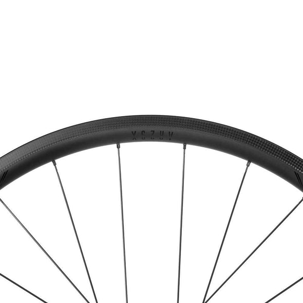AR29 X