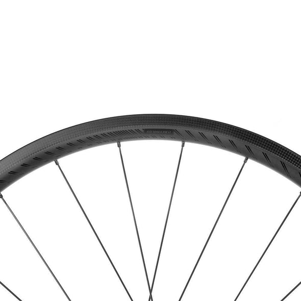 AR29 X